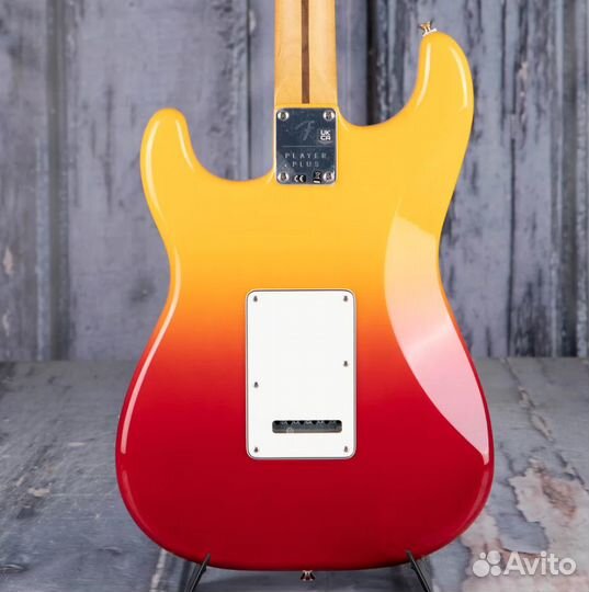 Электрогитара Fender Мексика (Комплект)