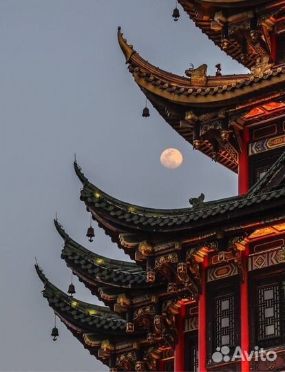 Репетитор по китайскому языку