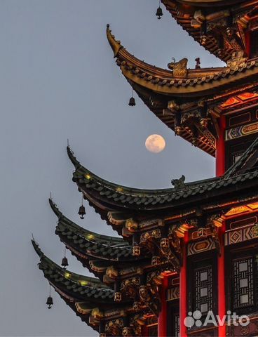 Репетитор по китайскому языку