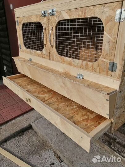 Брудер для цыплят