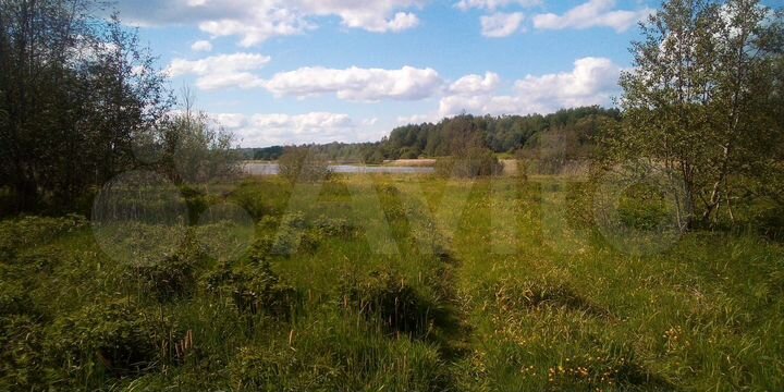 Участок 6,5 га (СНТ, ДНП)