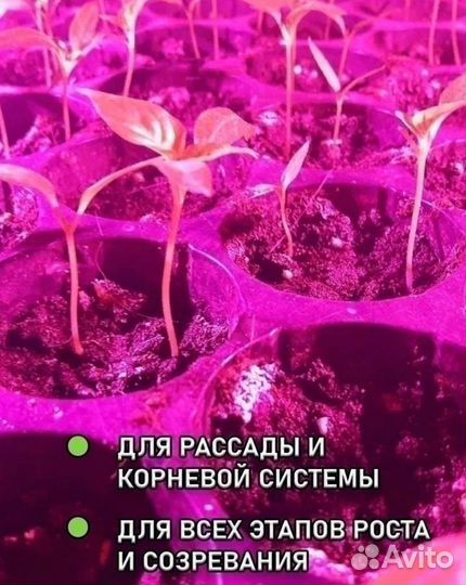 Фитолампа для растений