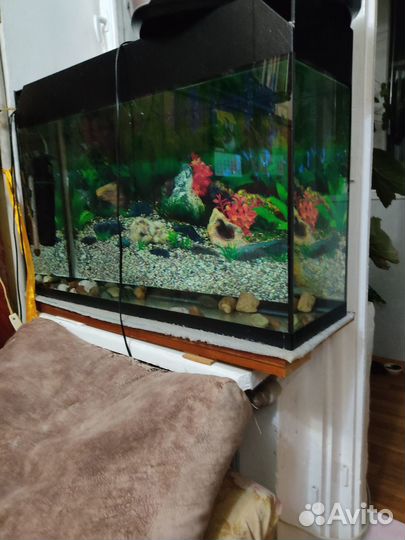 Аквариум