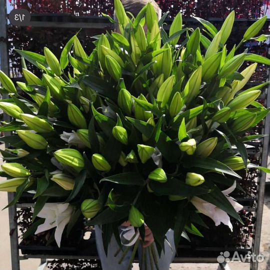 Букет из лилий