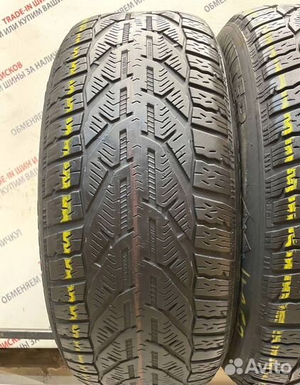 Tigar Winter 195/65 R15 95L