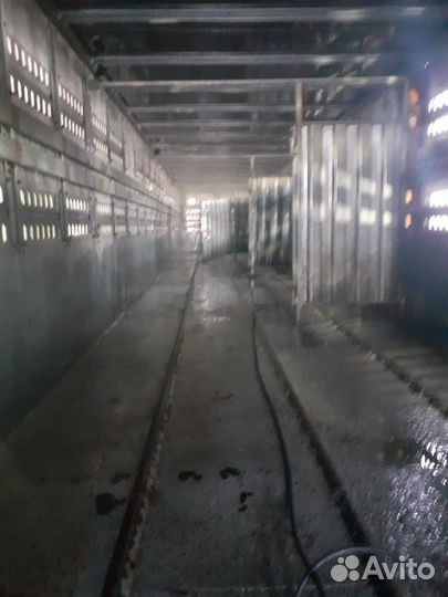 Скотовоз перевозка скота