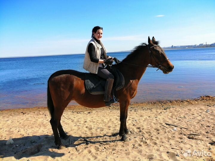 Конные прогулки