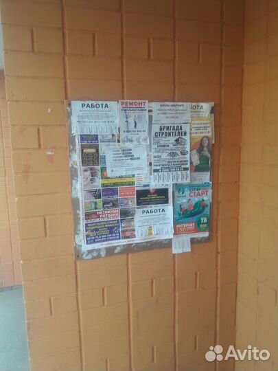 Распространение листовок и расклейка