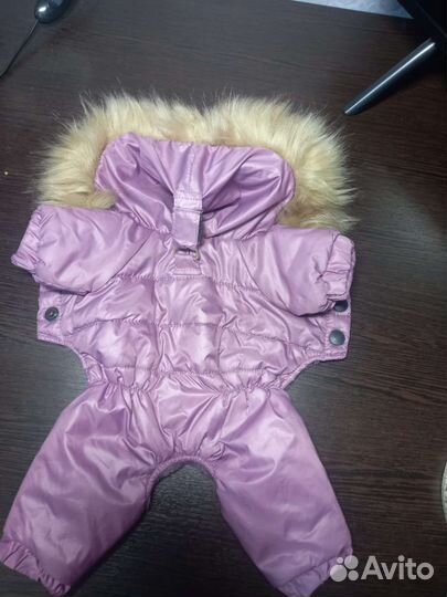 Комбинезон для собак мелких пород