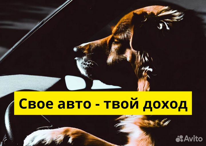 Ищем водителя на своем авто для яндексgo