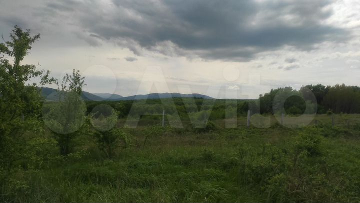 Участок 100 сот. (СНТ, ДНП)