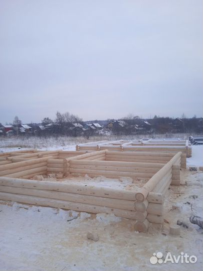 Срубы из зимнего леса