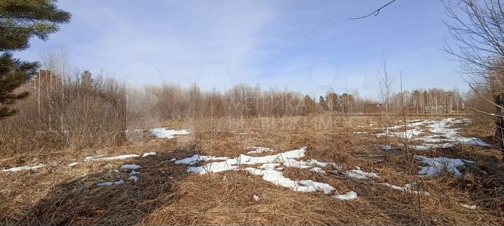 Участок 8 сот. (СНТ, ДНП)