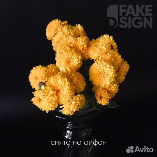 Фотофон пластик wblb5007003