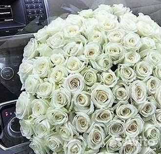 51 Роза, Букеты Цветы Розы 25 101 501 1001