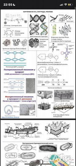 Егэ биология рохлов