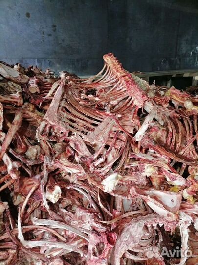 Кости говяжьи бесплатно