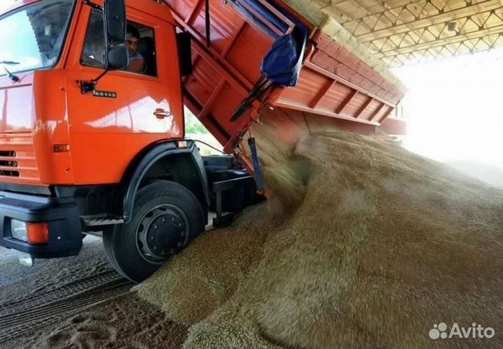 Услуги зерновоза