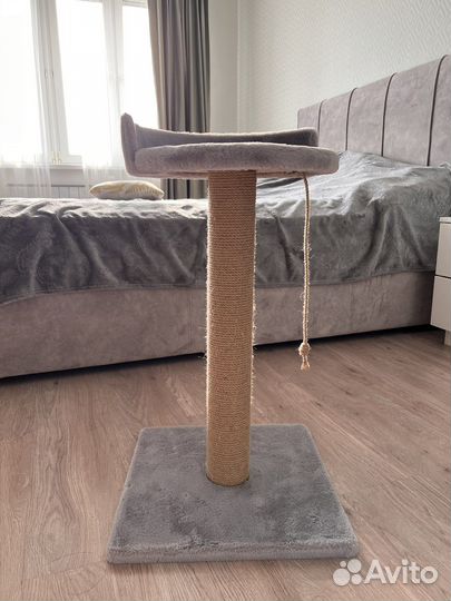 Когтеточка