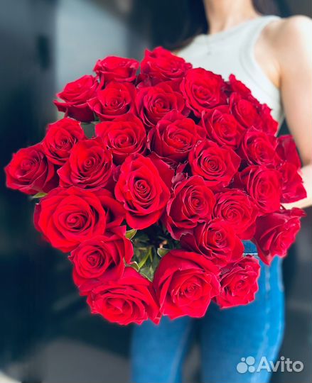 Роза Красная Explorer 70-80см. (красная)