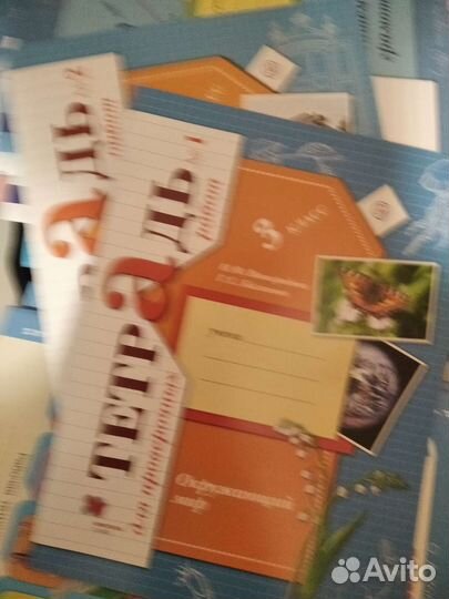 Рабочая тетрадь окружающий мир 3 класс