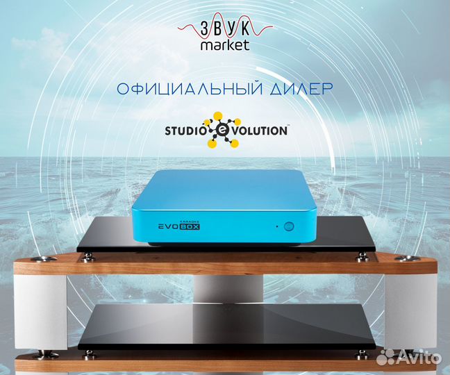 Караоке для дома Evolution Evobox Ocean