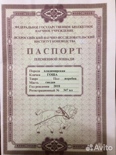 Владимирский тяжеловоз
