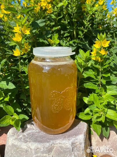 Мёд Цветочный 2023