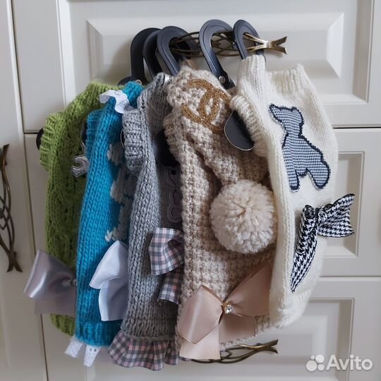 Вещи для собак