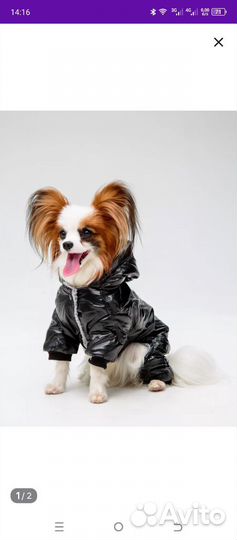 Комбинезон для маленькой собаки