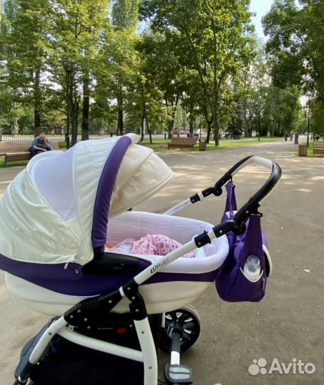 Коляска 2 в 1 adamex