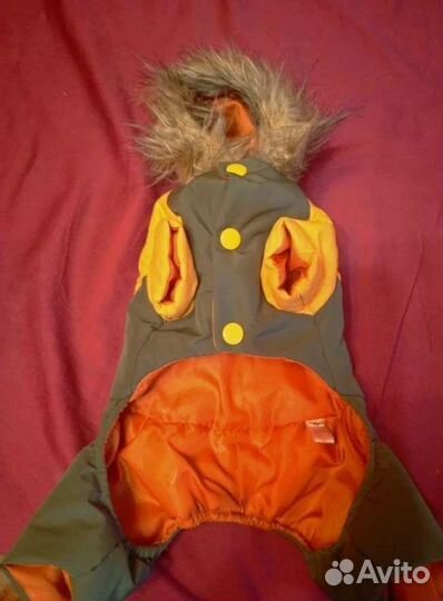 Комбинезон для маленькой собаки