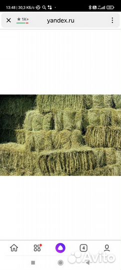 Сено в тюках