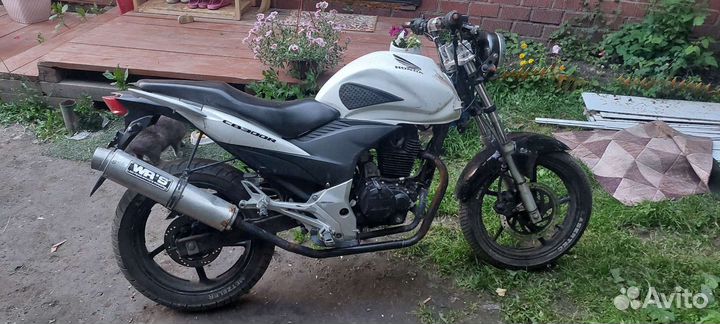 Продам Stels flex250