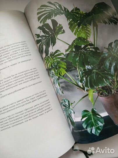 Книга про комнатные растения Норвежский сад