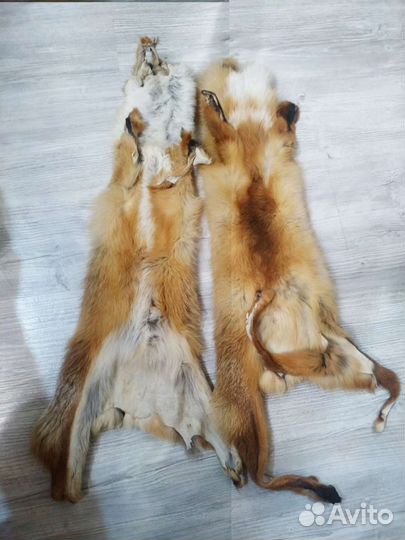 Шкура лисы