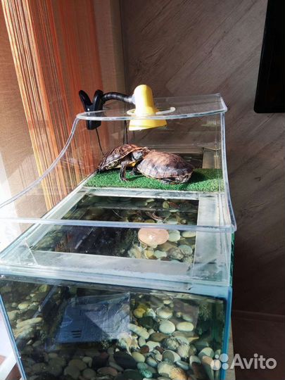 Аквариум 200 литров