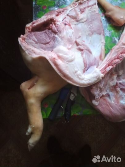 Свинина домашняя