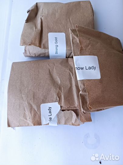 Луковицы тюльпанов