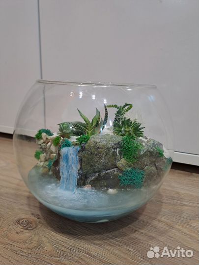 Флорариум