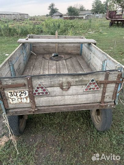 Лошадь кобыла