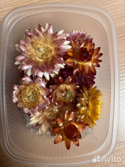 Цветы сухоцветы