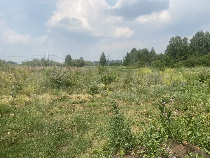 Участок 10 сот. (ИЖС)