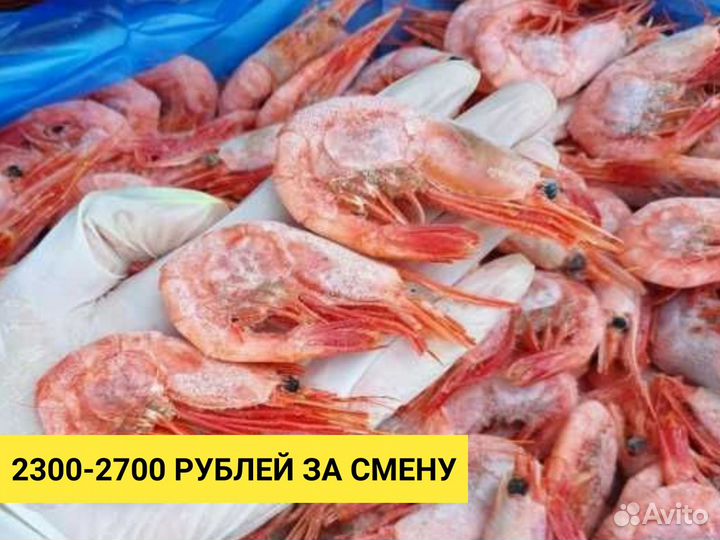 Вахта упаковка креветок и морепродуктов Калуга