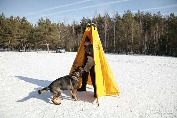 Школа дрессировки собак Воронеж, Услуги кинолога