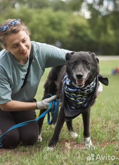 Пожилая Майка не хочет умирать в клетке