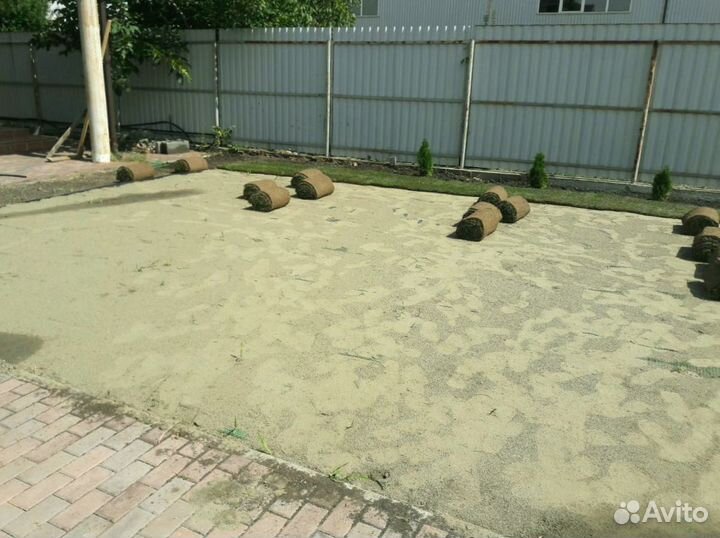 Рулонный газон 