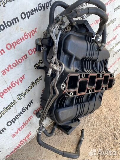 Коллектор впускной Infiniti Ex35 J50 VQ35HR 2009