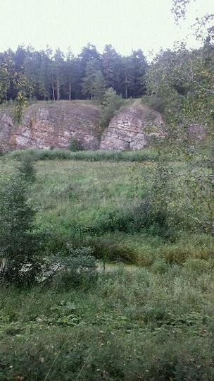 Участок 45 сот. (ИЖС)