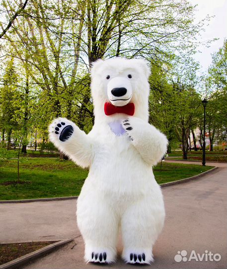 Белый Мишка и Панда. Поздравления